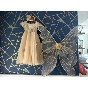 Fairy Dust Elegant Fairy Costume with Wings- Girls 6